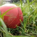 crpatinews-cricket-Gabriel